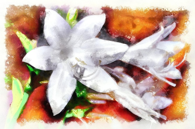 Watercolor painting blooming lily flower Modern digital art imitation of hand painted with aquarells dye