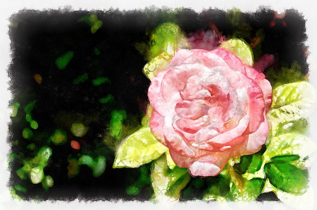 Watercolor painting blooming rose flower Modern digital art imitation of hand painted with aquarells dye