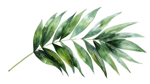 Photo a watercolor painting of a green leaf with the word green on it