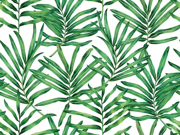 Watercolor painting green tropical leaves seamless pattern background