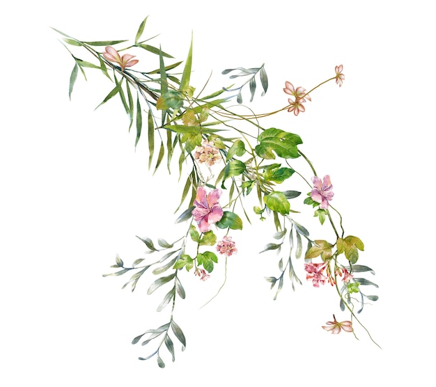 Watercolor painting of leaves and flower on white background