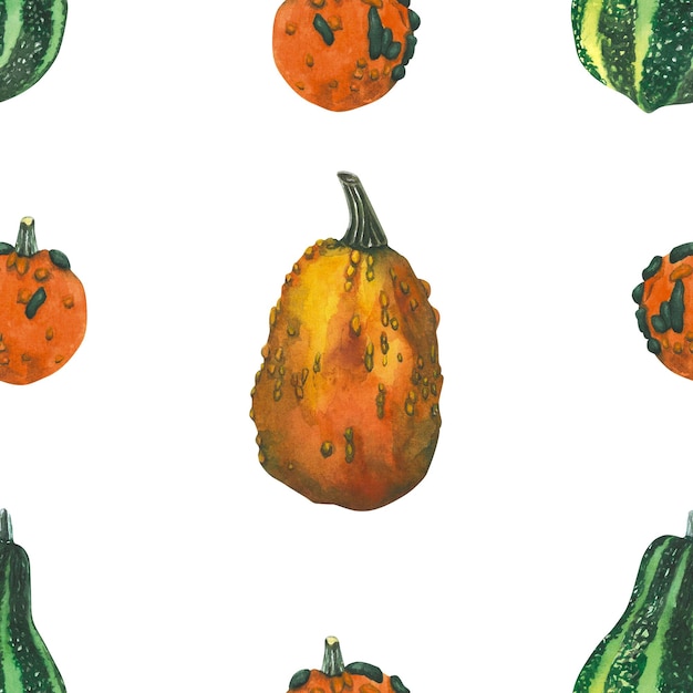 Photo watercolor pattern of pumpkins hand drawn isolated on white background