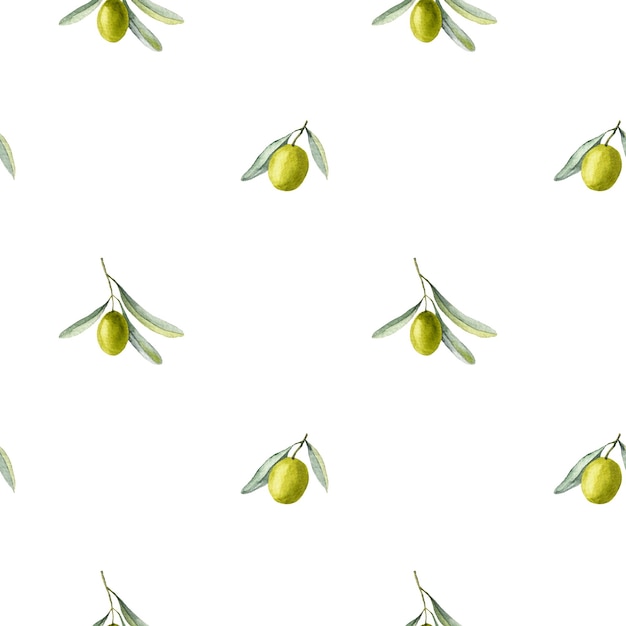 Watercolor pattern with green olive fruits vegetable background for oil label or textile hand drawn