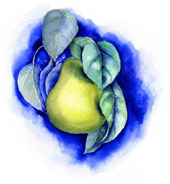 Watercolor pear vintage botanical illustration on a blue background