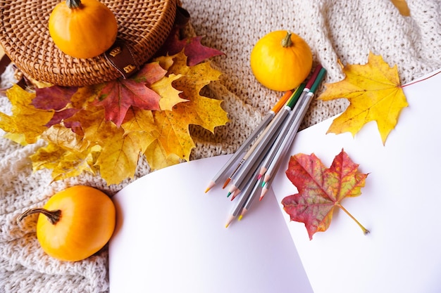 Watercolor pencils, sketchbook are prepared for drawing autumn sketches