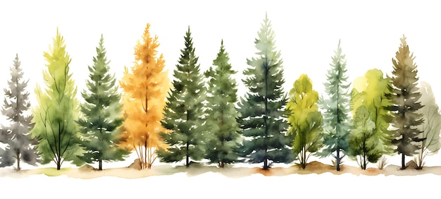 Watercolor pictures of pine trees and Christmas trees arranged in rows