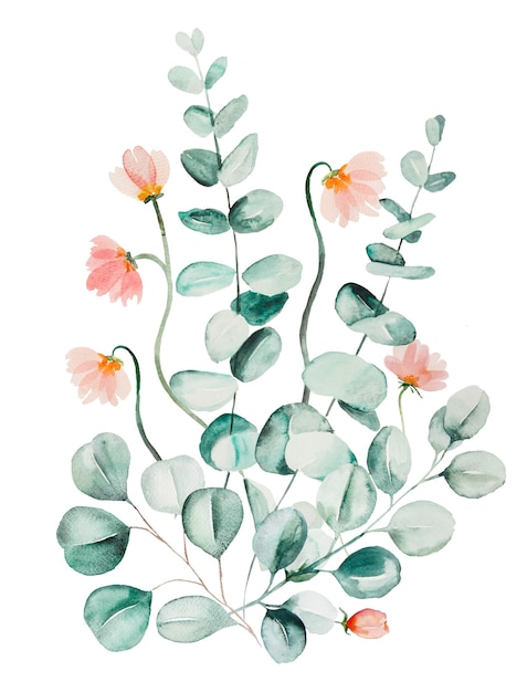 Watercolor pink flowers and green eucalyptus leaves bouquet illustration isolated