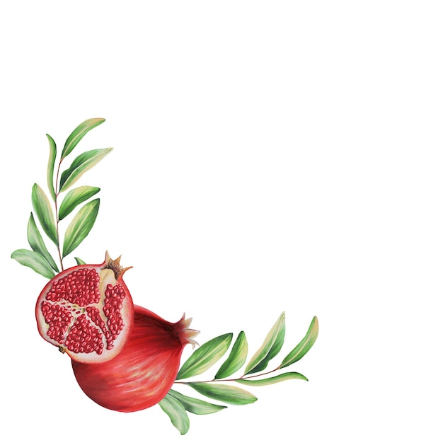 Watercolor pomegranate frame with a branch Ripe slice flowers and seeds of pomegranate Hand drawn realistic tasty garnet red fruit isolated