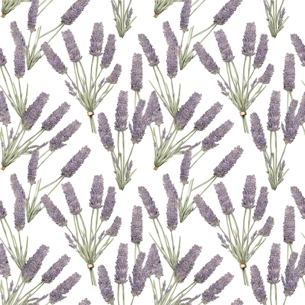 Watercolor Purple Violet Lavender Flower Floral Seamless Pattern on White Background