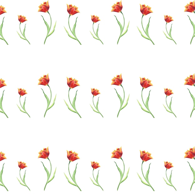 Watercolor red tulips seamless pattern illustration with flowers for textile or wrapping paper