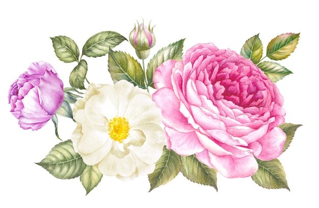 Watercolor rose for wallpaper design.