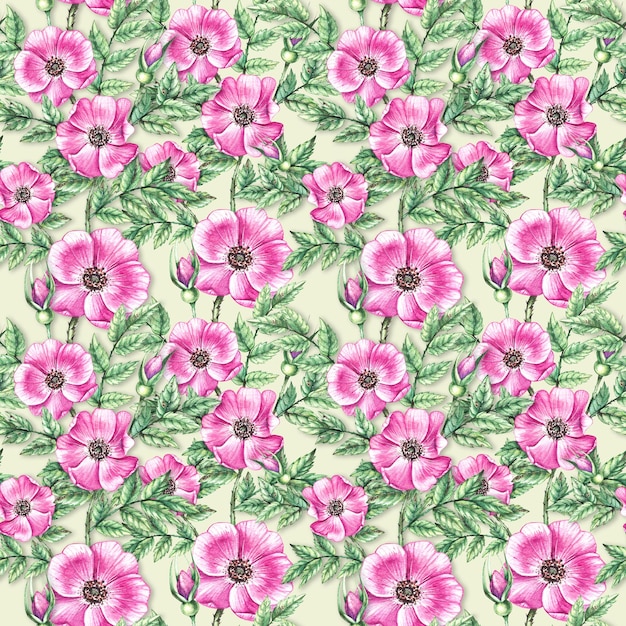 Watercolor Rosehip pattern