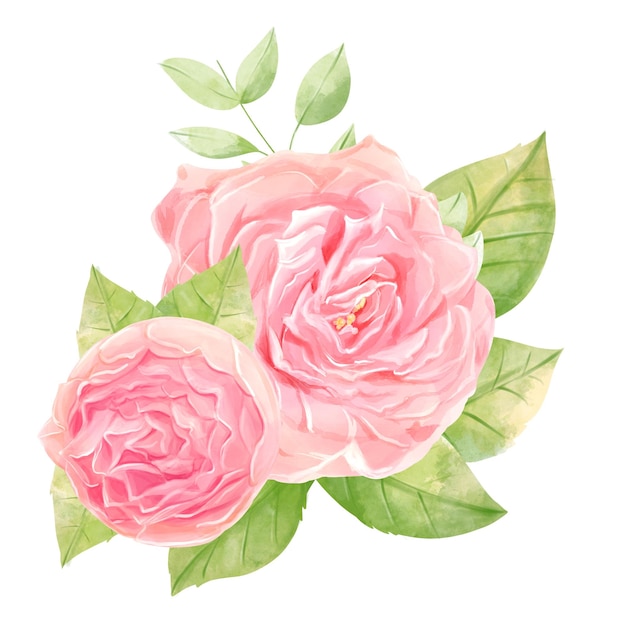 Watercolor Roses composition bouquet in romantic style