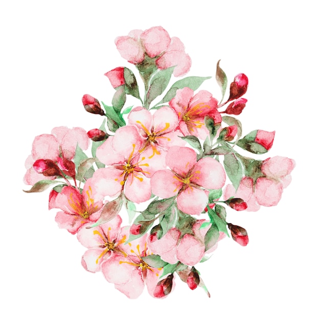 Watercolor sakura flowers