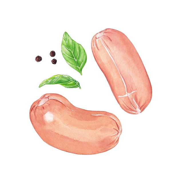 Watercolor sausages and basil leaves