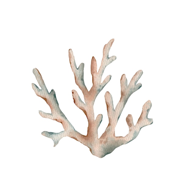 Watercolor sea life brown coral illustration watercolor corals set sponge ocean