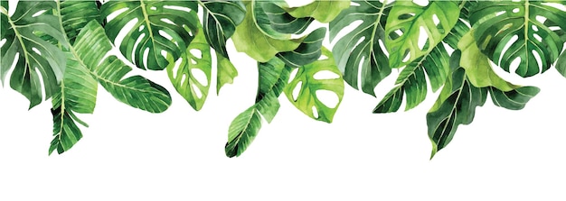 watercolor seamless border, tropical leaves banner. green leaves of palm, monstera, banana. frame