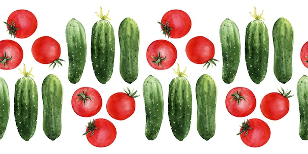 Watercolor seamless border with seasonal vegetables tomatoes and cucumbers