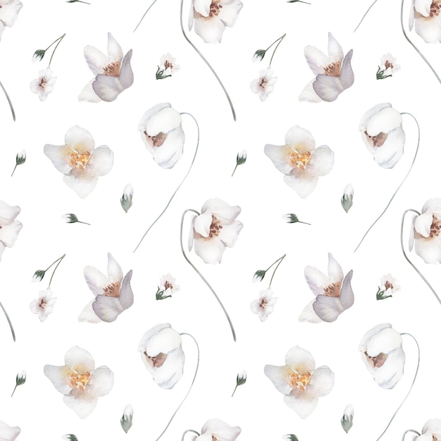 Watercolor Seamless Pattern Background with Meadow Flowers on White Background