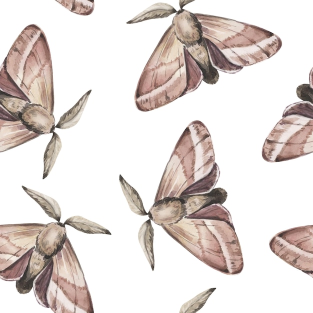 Watercolor Seamless Pattern Background with Moths on White Background