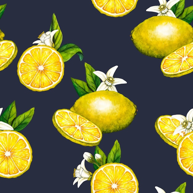 Watercolor seamless pattern lemon slice Hand drawn botanical illustration of yellow half citrus fruits isolated on white background Clipart objects for design and decoration