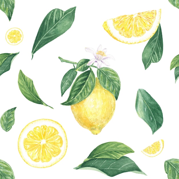 Watercolor seamless pattern of lemon slices. Tropical fruit background for textiles, fabric, prints