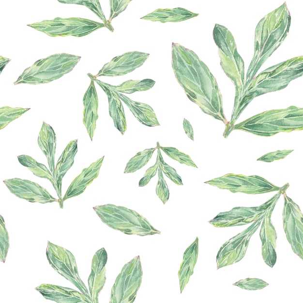 Watercolor seamless pattern peony leaves hand drawn in botanical style for textile wallpaper card