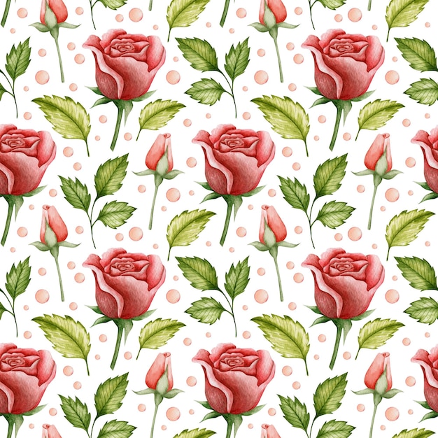 Watercolor seamless pattern of red rose flowers on a white background.