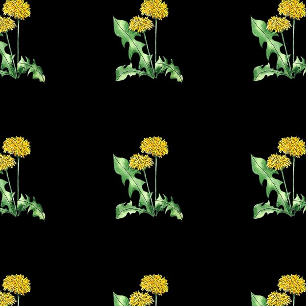 Watercolor seamless pattern wild flowers dandelions black background hand-painted in botanical style