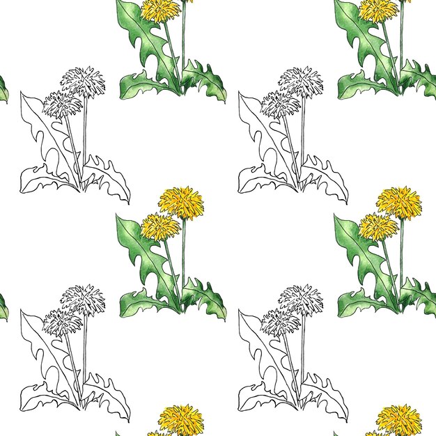 Watercolor seamless pattern wildflowers dandelions white background, hand-painted in botanical style