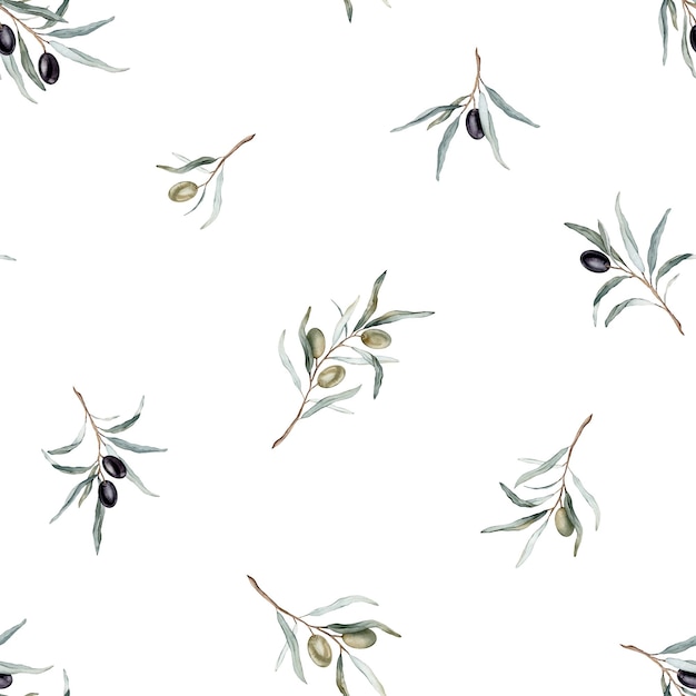 Watercolor seamless pattern with black and green olives and branch Hand painted olives isolated on white background Botanical illustration for design print fabric or background