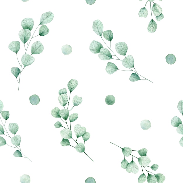 Watercolor seamless pattern with green dots and branches of eucalyptus Isolated on white