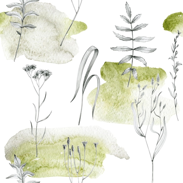 Watercolor seamless pattern with herbs Pencil graphics