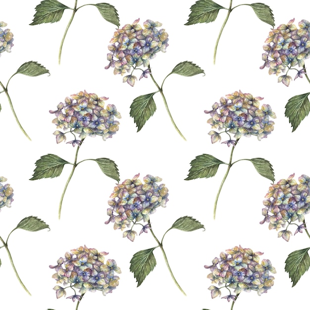 Watercolor seamless pattern with illustration of hydrangea flowers and branches