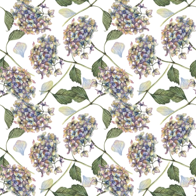 Watercolor seamless pattern with illustration of hydrangea flowers and branches