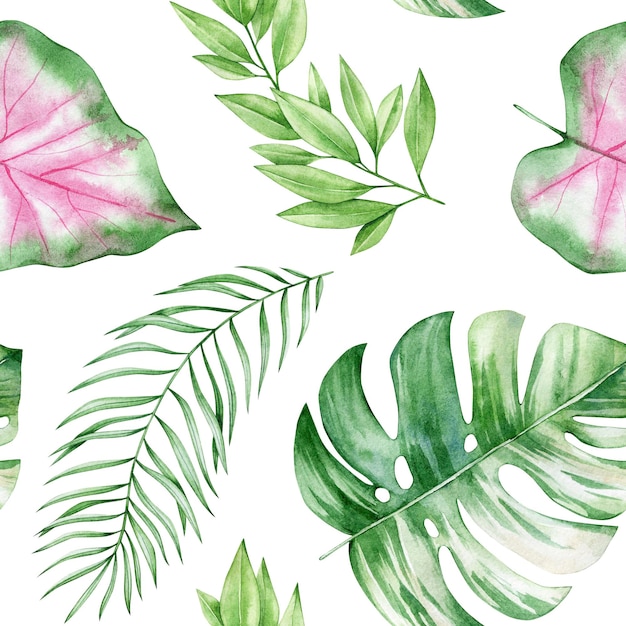 Watercolor seamless pattern with palm leaves monstera Isolated on white background Hand drawn