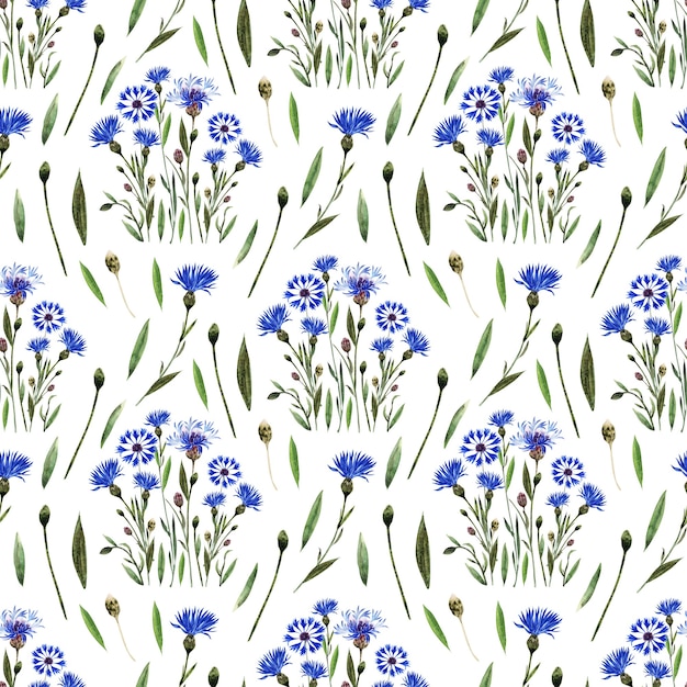 Watercolor seamless pattern with twigs, leaves, buds and flowers of the cornflower plant