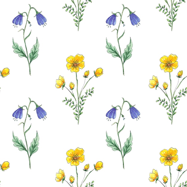 Watercolor seamless pattern yellow wildflowers on white background, hand painted in botanical style