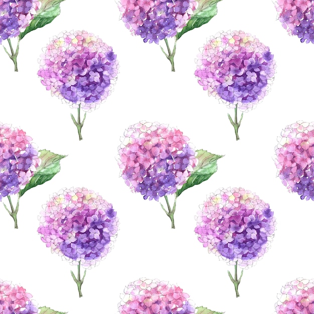 Watercolor seamless patterns with blooming hydrangea branches. Bright inflorescences