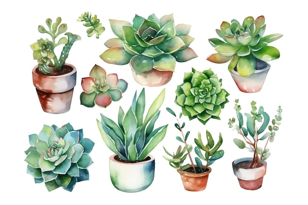 Watercolor set of cozy cute succulent plants Inspiration quotes Home gardening House plants AI generated illustration