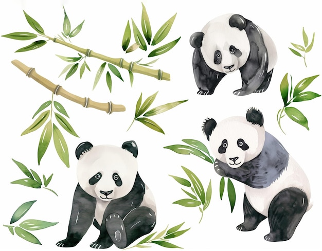 Watercolor set of cute panda bears and bamboo leaves for cute baby design