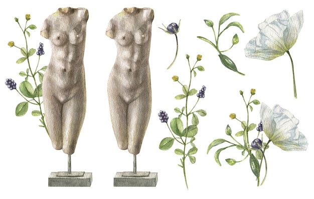 Watercolor set of Greek classical sculpture of a female body, a bouquet of wild flowers.