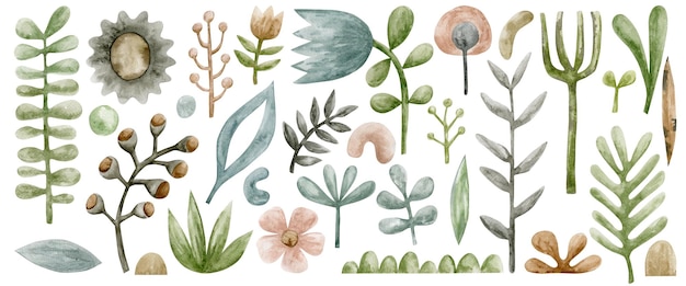 Watercolor set of illustrations of modern flowers