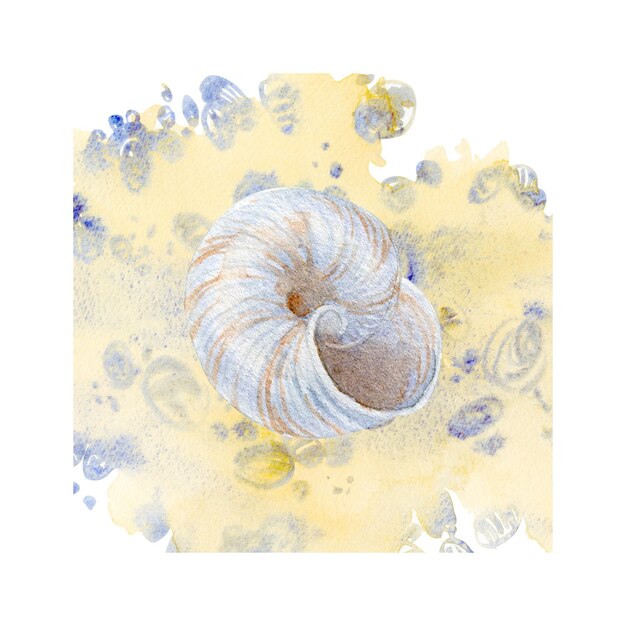 Watercolor set of seashells on white background for your menu or design