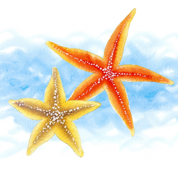 Watercolor set of starfishes on waves white background for your menu or design