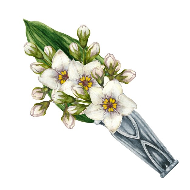 Photo watercolor silver boutonniere for white flower bouquet for a wedding childrens birthday bouquet