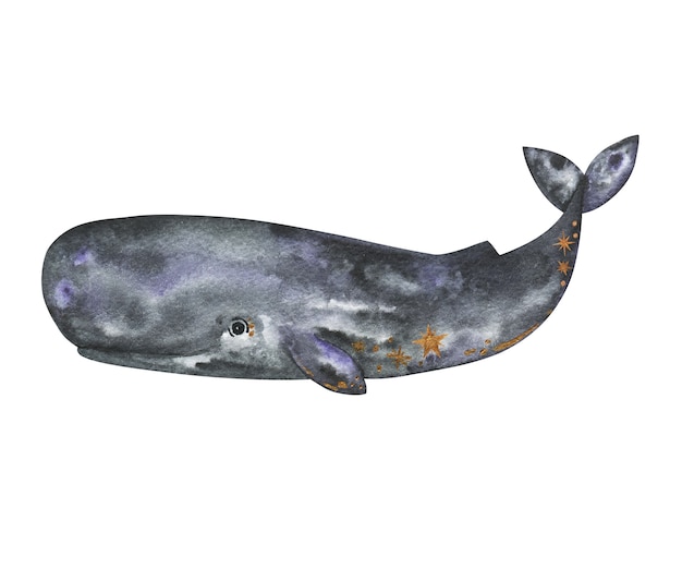 Watercolor sperm whale isolated, whale hand drawn illustration, sea and ocean animals clipart