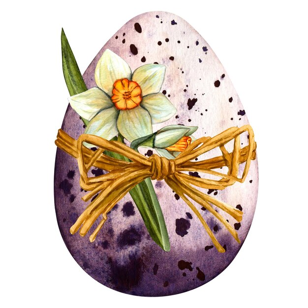 Watercolor spring easter illustration with flowers daffodil willow branches feather bow colored eggs