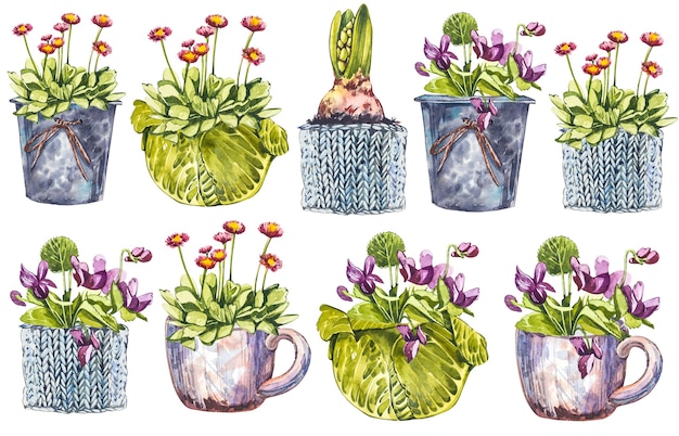 Watercolor spring flowers in flower pot