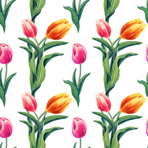 Watercolor Spring tulips Seamless pattern with orange red pink Flowers